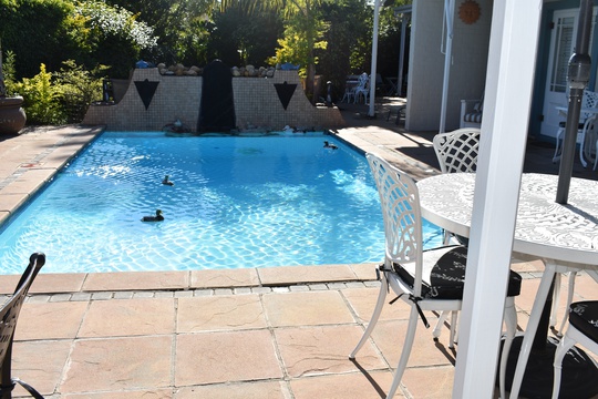 Paradiso Guest House Solar Pool